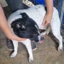 Thumbnail photo of Jill #1