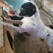 Thumbnail photo of Jill #2