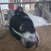 Thumbnail photo of Jill #3