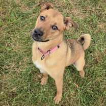 Thumbnail photo of Charles #4