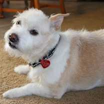 Thumbnail photo of Theodore #1