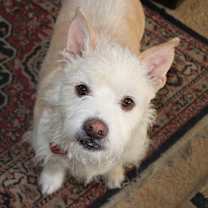 Thumbnail photo of Theodore #2