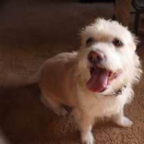 Thumbnail photo of Theodore #4