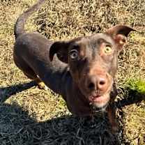 Thumbnail photo of La Ti Dah #2