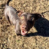 Thumbnail photo of La Ti Dah #3