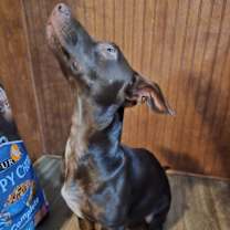 Thumbnail photo of La Ti Dah #4