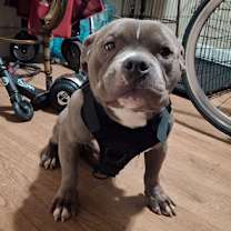 Thumbnail photo of Kilo #2