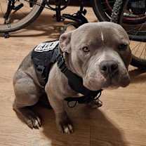 Thumbnail photo of Kilo #3