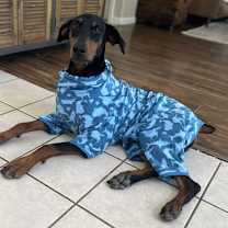 Thumbnail photo of Ranger #1