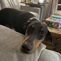 Thumbnail photo of Ranger #3