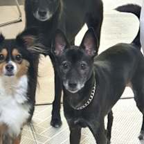 Thumbnail photo of Leeju (H) #2