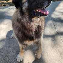 Thumbnail photo of Baynard #2