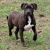 Thumbnail photo of Spooky #3