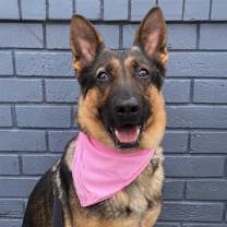 Thumbnail photo of Georgia #1