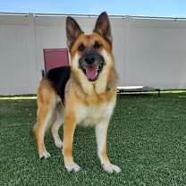 Thumbnail photo of Marie #3