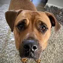 Thumbnail photo of Emily #3