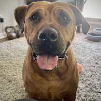 Thumbnail photo of Emily #4