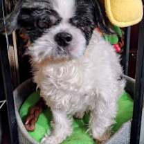 Thumbnail photo of St Nick #1