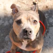 Thumbnail photo of Winnie #1