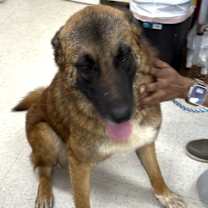 Thumbnail photo of Jeff #1