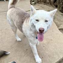 Thumbnail photo of Layla #2