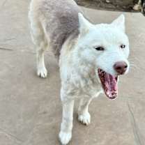 Thumbnail photo of Layla #4