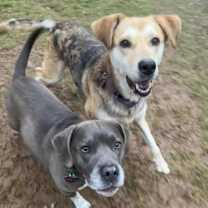 Thumbnail photo of Bubba & Sandy #3