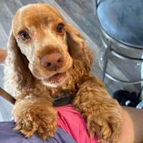 Thumbnail photo of Jackson #1