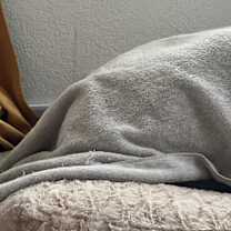 Thumbnail photo of Stella #3
