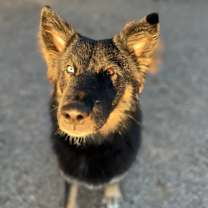 Thumbnail photo of Sara #2