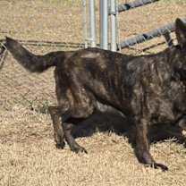 Thumbnail photo of Zeus #2