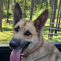 Thumbnail photo of Joshua #1