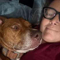 Thumbnail photo of Hilo #2