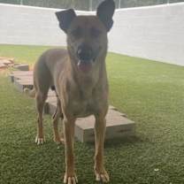 Thumbnail photo of Bolt #1