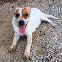 Thumbnail photo of Lilly #1