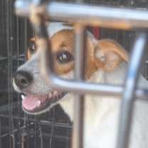 Thumbnail photo of Lilly #2