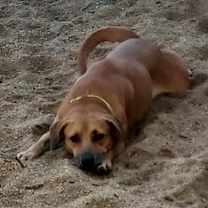 Thumbnail photo of Tequila #2
