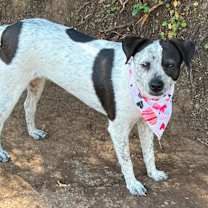 Thumbnail photo of DOLLY PARTON #3