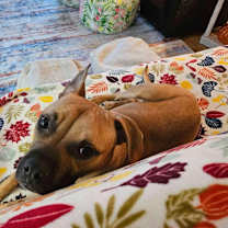 Thumbnail photo of Ghost #1