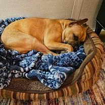 Thumbnail photo of Ghost #3