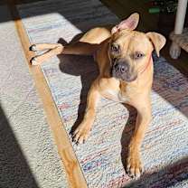 Thumbnail photo of Ghost #4