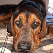 Thumbnail photo of Finn #1