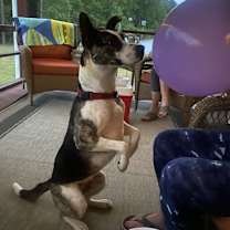 Thumbnail photo of Winnie #1