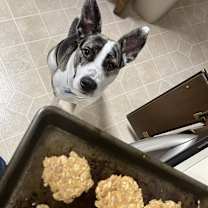 Thumbnail photo of Winnie #2