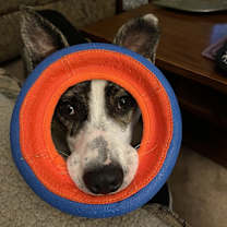 Thumbnail photo of Winnie #4