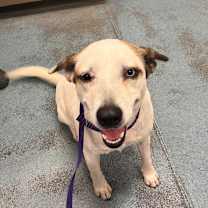 Thumbnail photo of Carrie #1