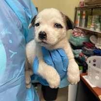 Thumbnail photo of Carrie #2