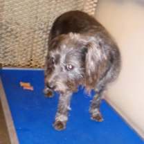 Thumbnail photo of Lucy #2