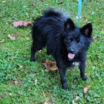 Thumbnail photo of MIA #1