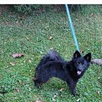 Thumbnail photo of MIA #2